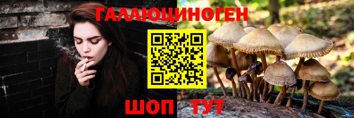 Псилоцибиновые грибы мухоморы Щёлково